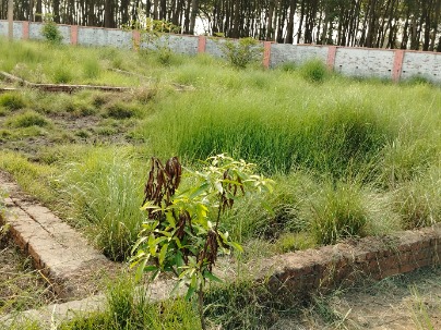 Land photo 1