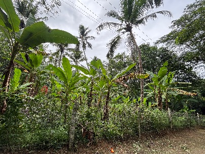 Land photo 1