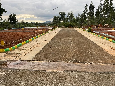 Land photo 1