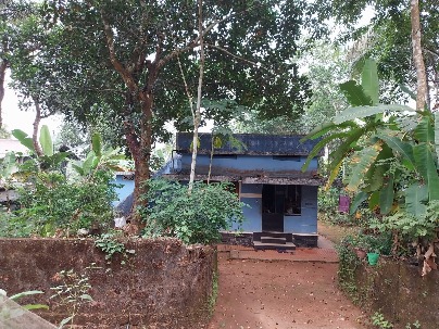 Land photo 1