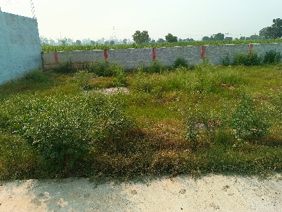 Land photo 1