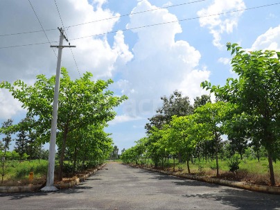 Land photo 1