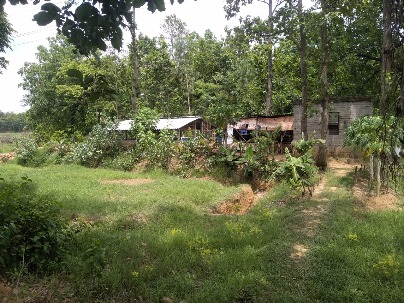 Land photo 1