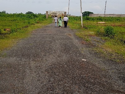 Land photo 1