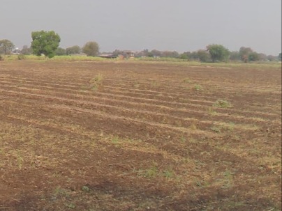 Land photo 1
