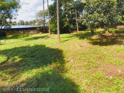 Land photo 1