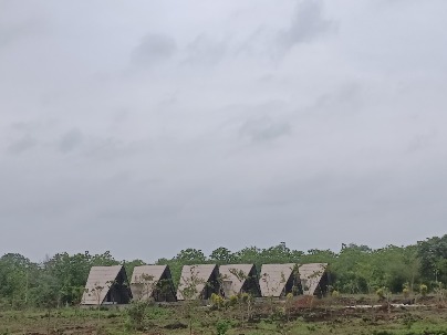 Land photo 1