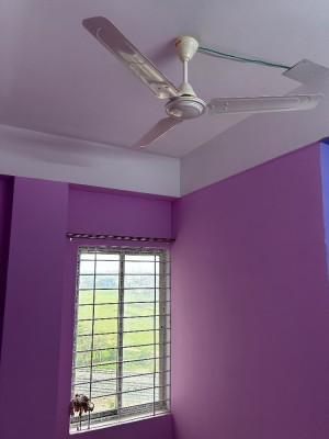 Flat photo 2