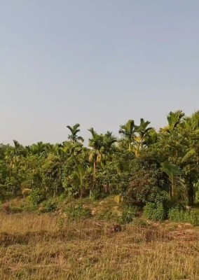 Land photo 3
