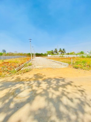 Land photo 3