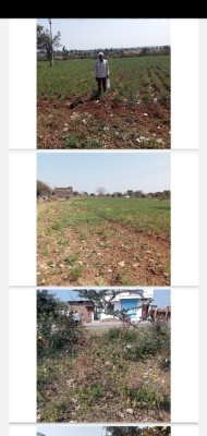 Land photo 2