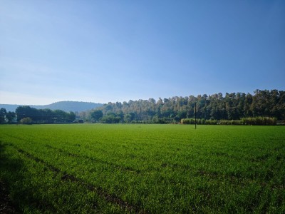Land photo 2