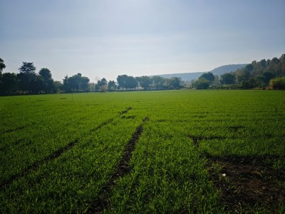 Land photo 3