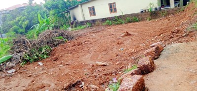 Land photo 2