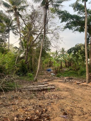 Land photo 3