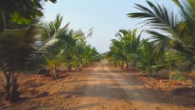 Land photo 2