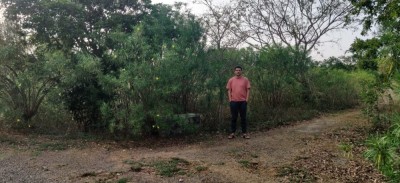 Land photo 3