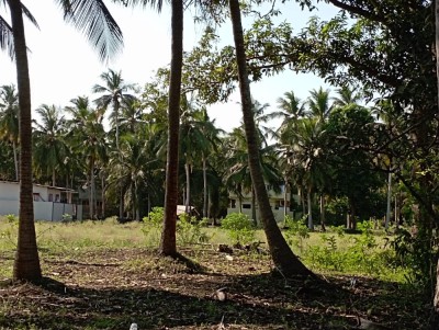 Land photo 2