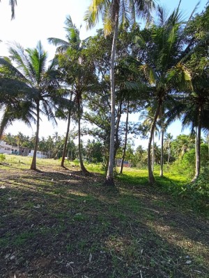 Land photo 3