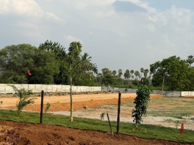 Land photo 3