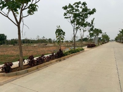 Land photo 3