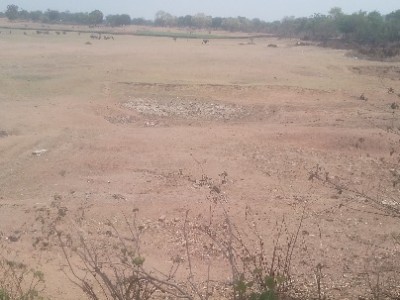 Land photo 2