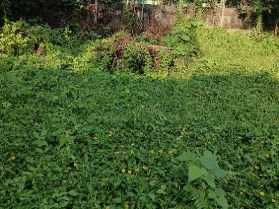 Land photo 2