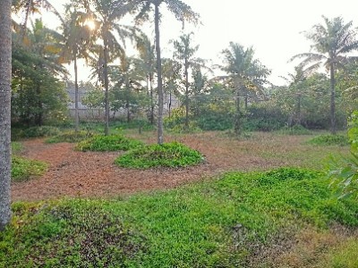 Land photo 3