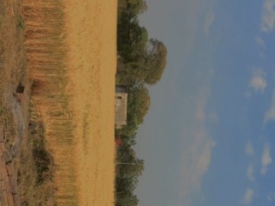 Land photo 2