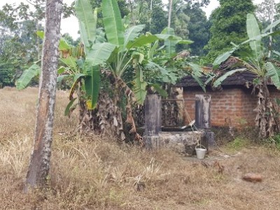 Land photo 2