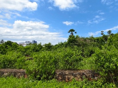 Land photo 2