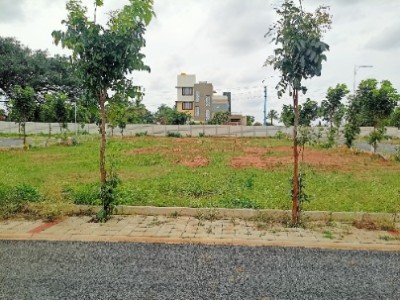 Land photo 2
