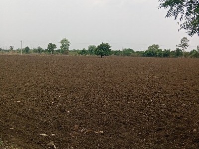 Land photo 3