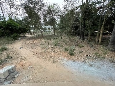 Land photo 2