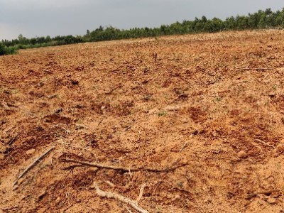Land photo 2