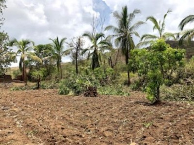 Land photo 2