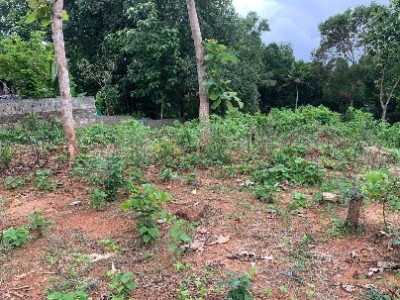 Land photo 2