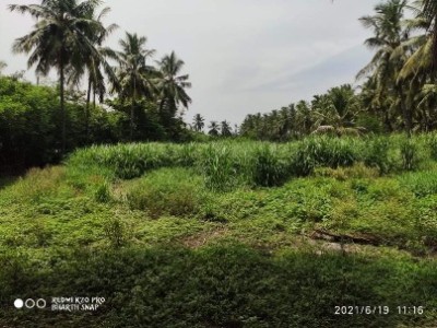 Land photo 2
