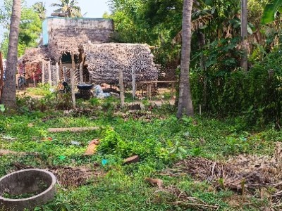 Land photo 2