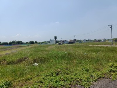Land photo 2