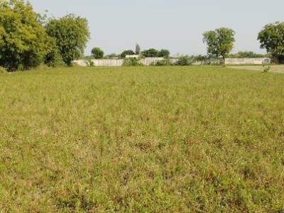 Land photo 2
