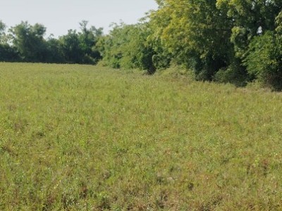 Land photo 3