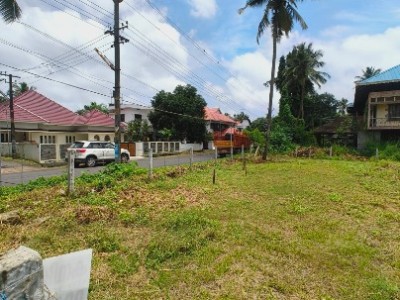Land photo 3