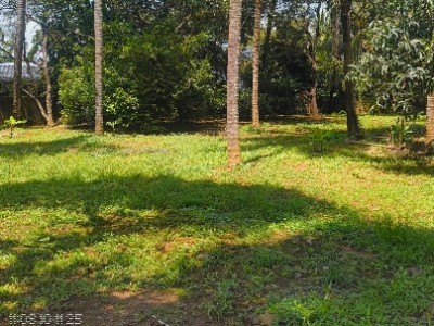 Land photo 2