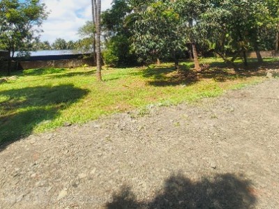 Land photo 3