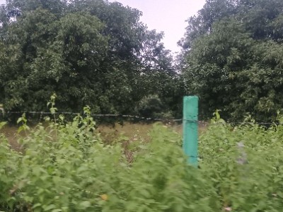 Land photo 2