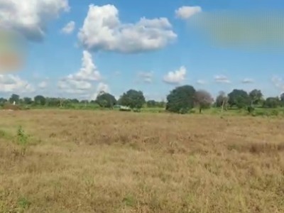 Land photo 3