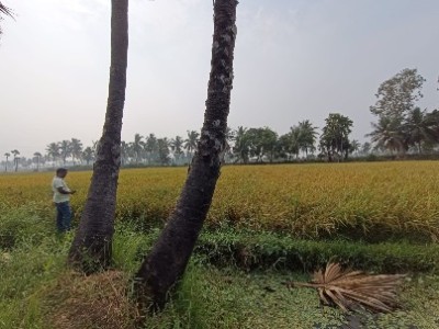 Land photo 2
