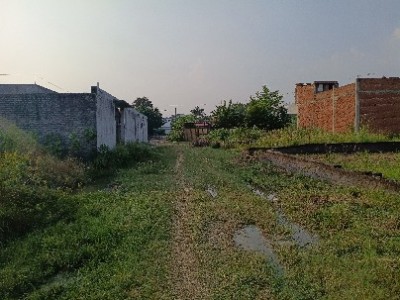 Land photo 2