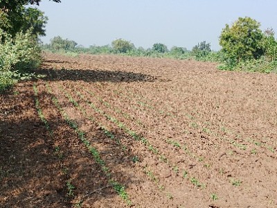 Land photo 2